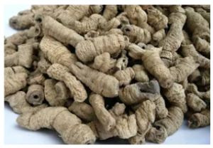 Củ ba kích rừng Ba Chẽ (khô)